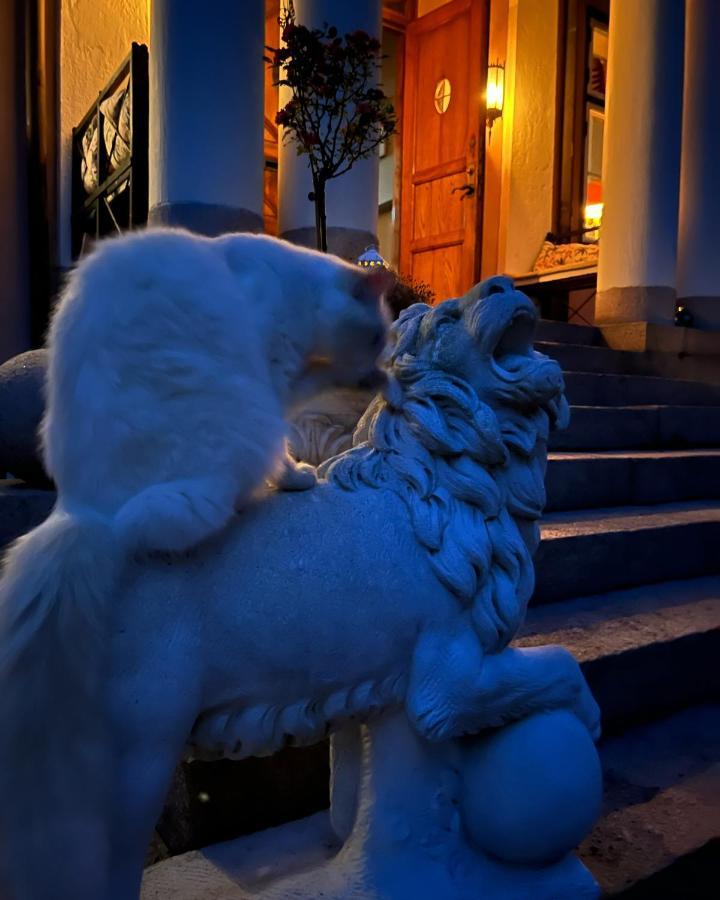 Herrgards Hotell Gyllene Haesten Вестервік Екстер'єр фото